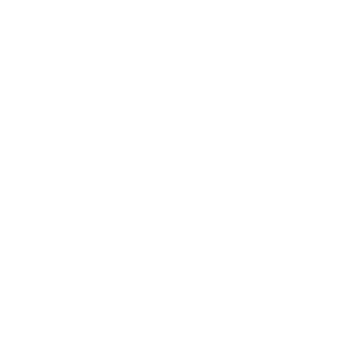 A white cross centered on a black shield