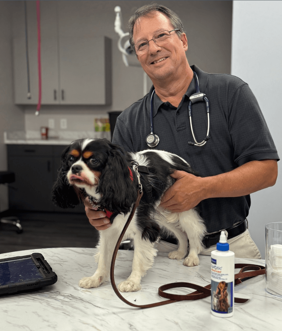 vet affectionately holding a dog standing on a table